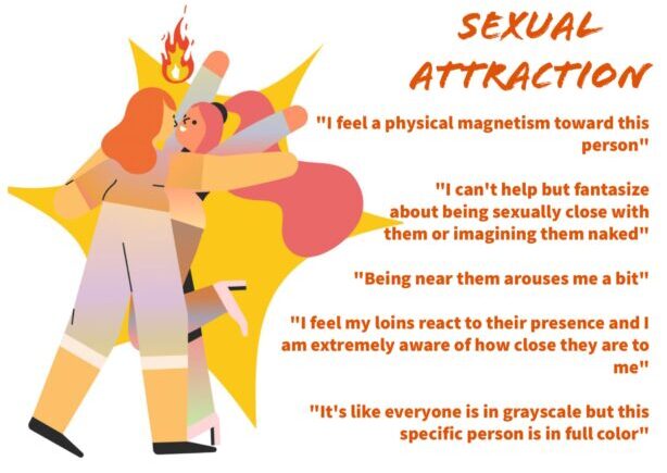 Graphic of two people with their bodies pressed together and a flame above their heads. Text on the right reads "Sexual Attraction" withe the following quotes describing the sensation: "I feel a physical magnetism toward this person, "I can't help but fantasize about being sexually close with them or imagining them naked," "Being near them arouses me a bit," "I feel my lois react to their presence and I am extremely aware of how close they are to me," and "It's like everyone is in grayscale but this specific person in in full color."